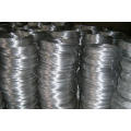 Direct Factory Selling Galvanisierter Draht Made in China